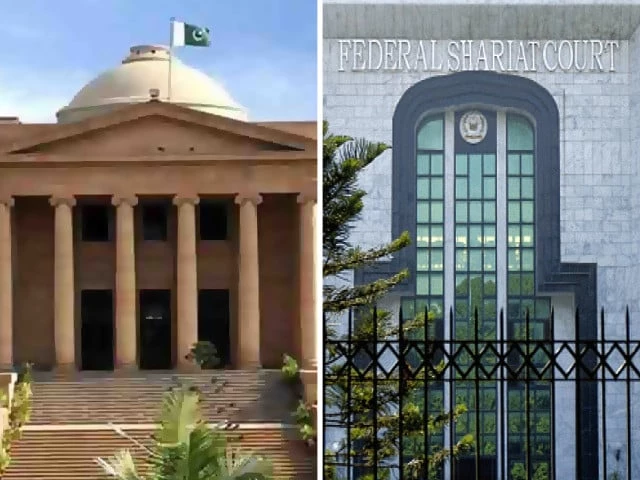 SPSC moves FCC against SHC recruitment order